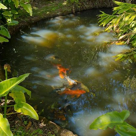 Pousada Passaredo Montanha Ibiúna Buitenkant foto