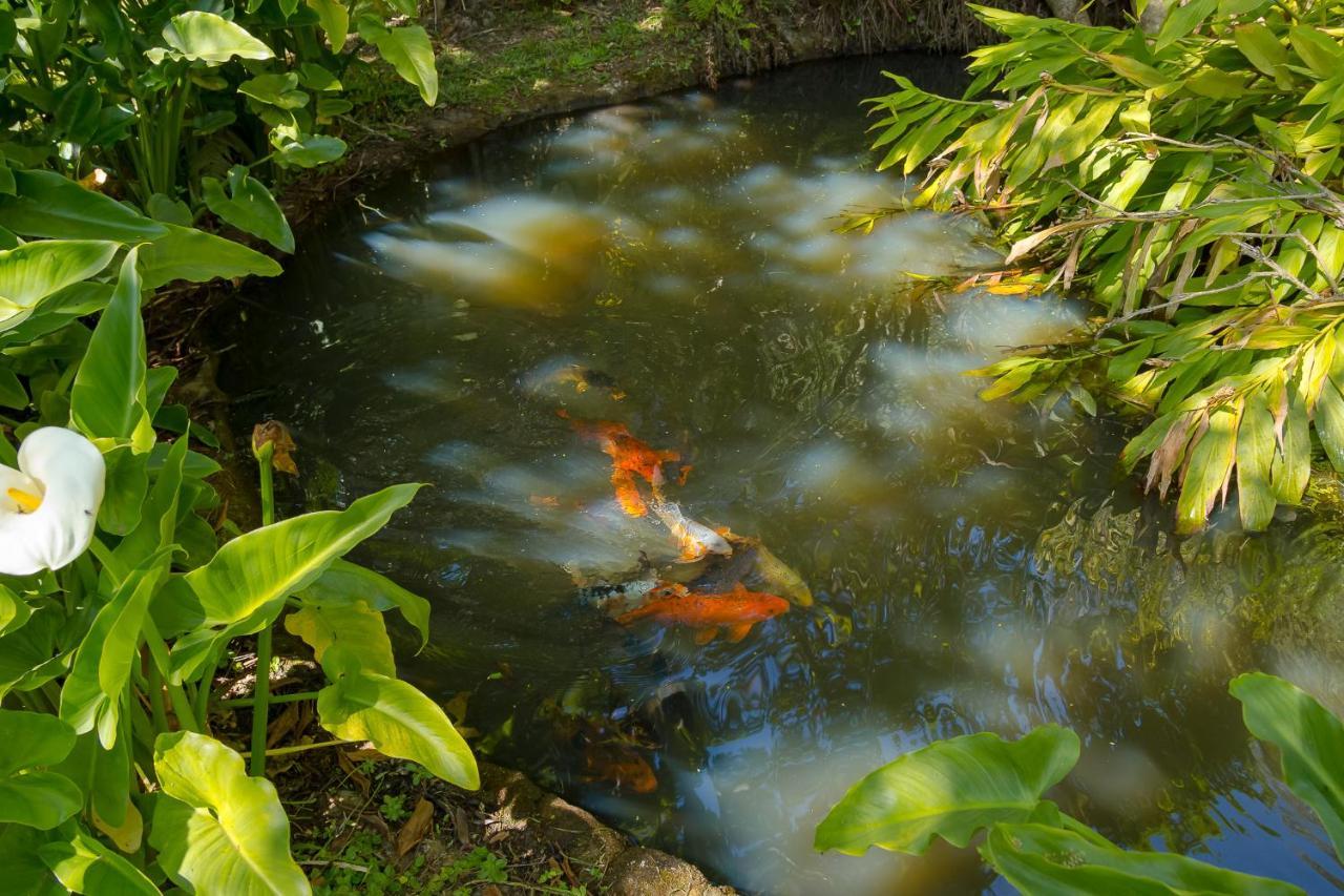 Pousada Passaredo Montanha Ibiúna Buitenkant foto