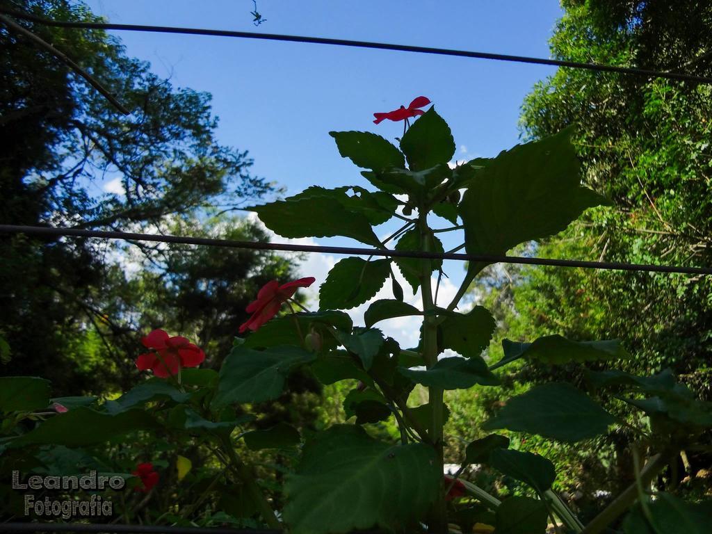Pousada Passaredo Montanha Ibiúna Buitenkant foto