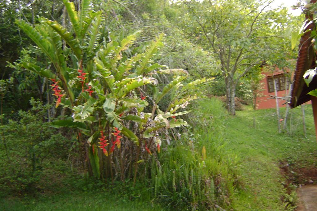 Pousada Passaredo Montanha Ibiúna Buitenkant foto
