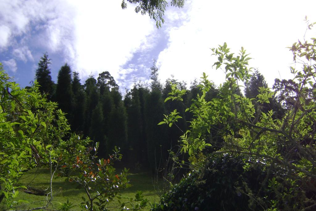 Pousada Passaredo Montanha Ibiúna Buitenkant foto