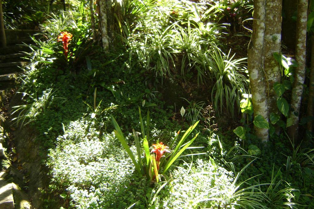 Pousada Passaredo Montanha Ibiúna Buitenkant foto
